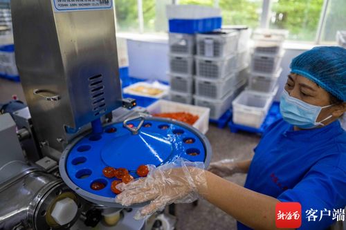 原創(chuàng)組圖丨中秋將至 海口這個(gè)食品廠開(kāi)足馬力生產(chǎn)月餅