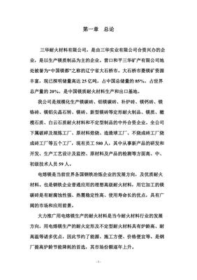 年產(chǎn)六萬(wàn)噸電熔鎂生產(chǎn)線(xiàn)可研報(bào)告