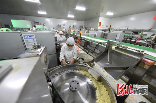 邯鄲 做優(yōu)平臺,讓項目落地快發(fā)展好