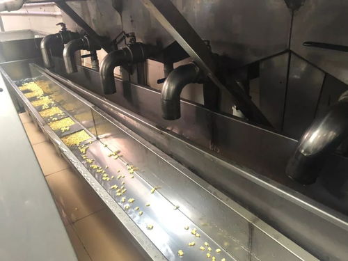 突查深圳最大豆制品生產企業 現場發現電熔鎂生產亂象